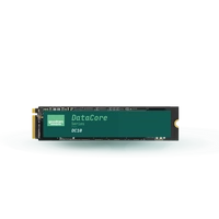 SSD disk Goodram DC10M 480GB M.2 22110 NVMe PCIe 4.0 | GEDC10M100-480NS10B