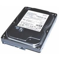 Pevný disk HDD určený pro server Lenovo 3.5'' 3TB 7200RPM SATA 6Gb/s 81Y9778-RFB použité