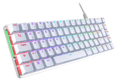 Klávesnice Drátové připojení Asus ROG Falchion Ace WHT QWERTZ