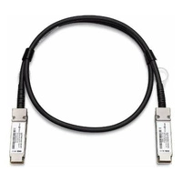 Kabel NETGEAR AXLC761-10000S