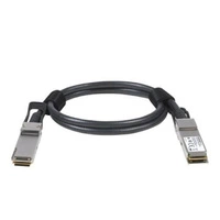 Kabel ESUS IT ACC761-10000S-C